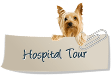 Hospital Tour