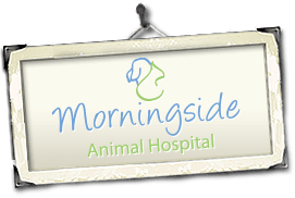 Morningside Animal Hospital Home