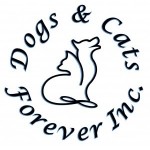 Link to Dogs and Cats Forever Website