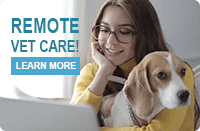Remote Vet Care! Learn More