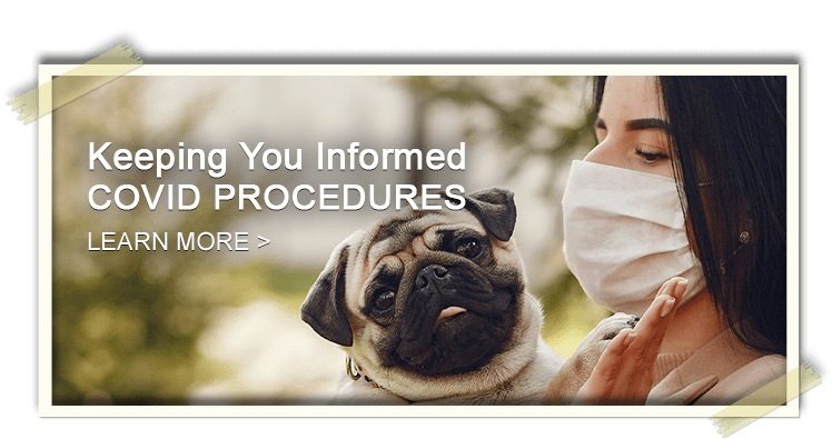 Keeping You Informed – COVID Procedures - Learn More