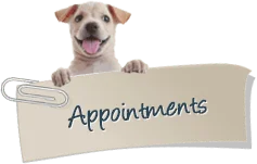 Appointments