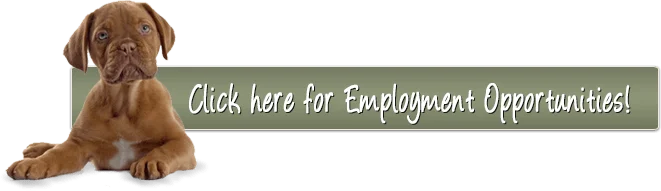 Click here for Employment Opportunities!