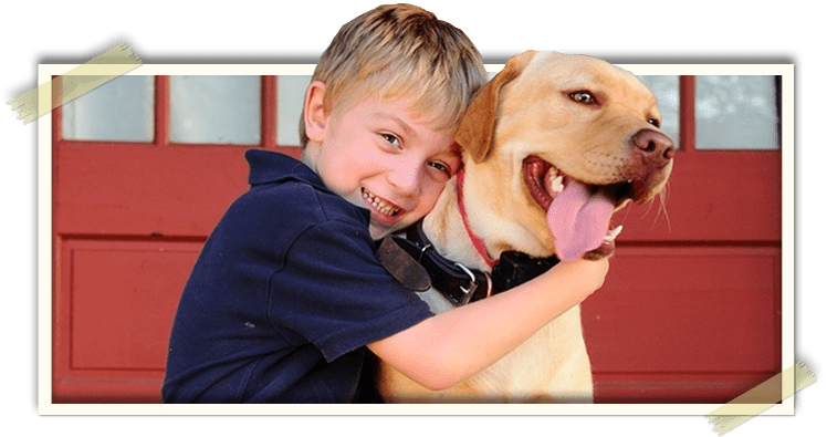 Boy hugging a dog