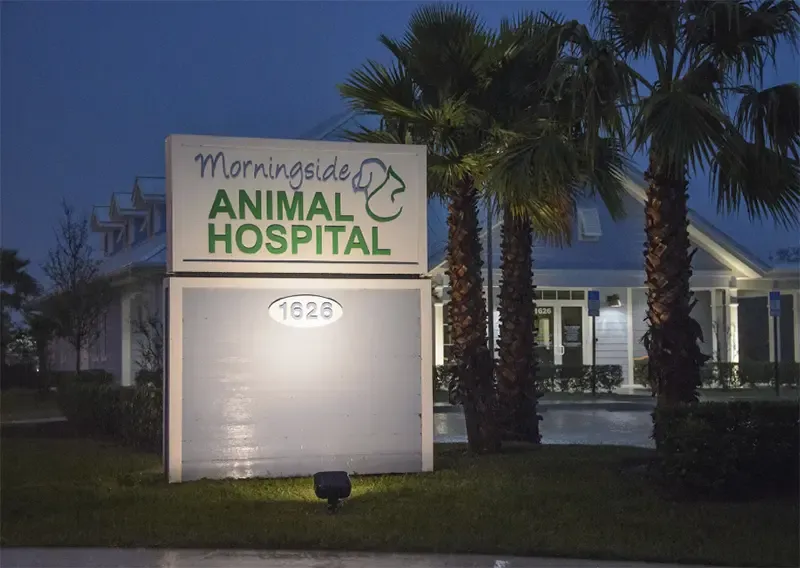 Welcome to Morningside Animal Hospital!